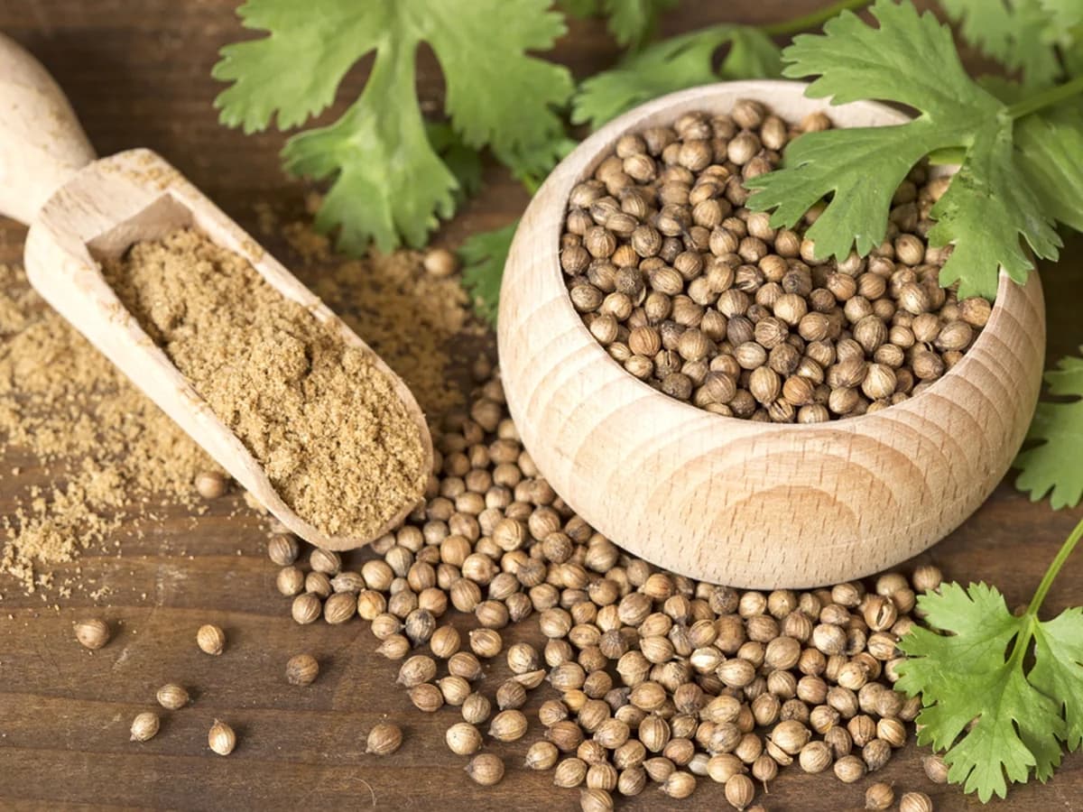 Coriander Products